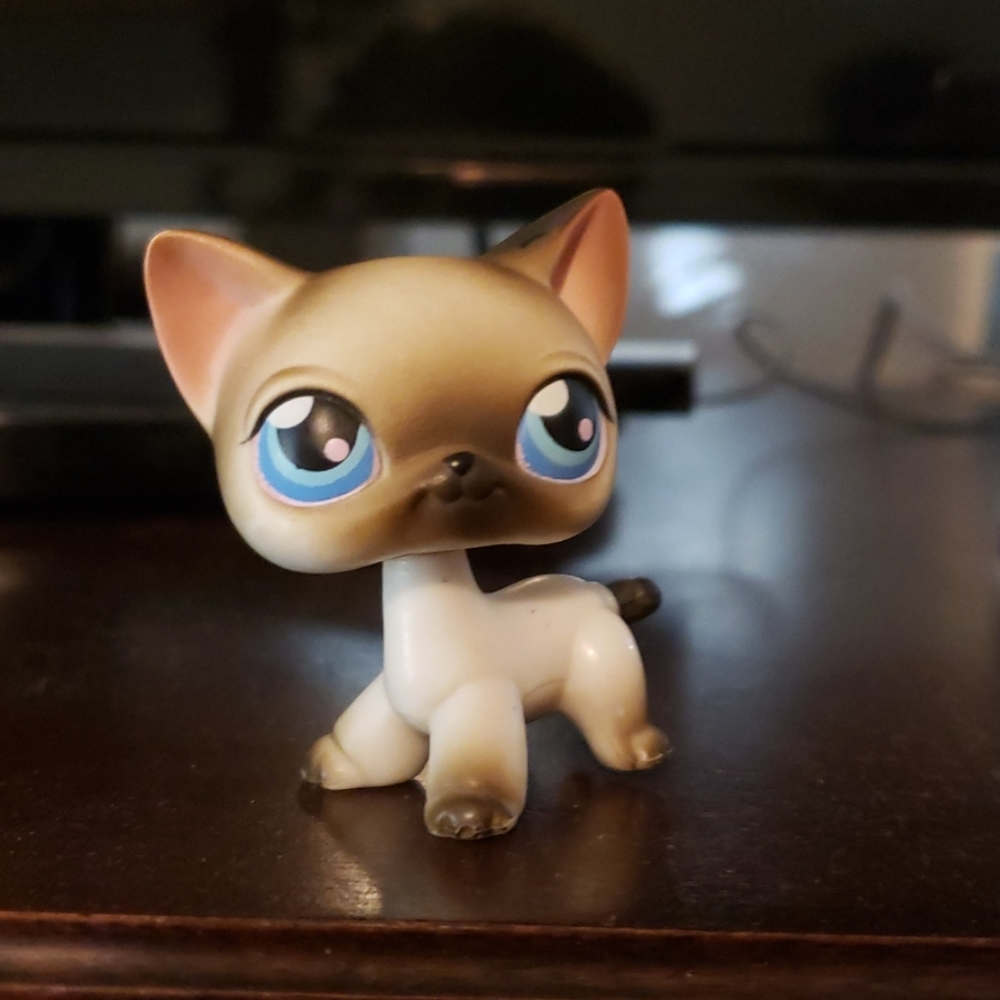 Black and white siamese shorthair lps